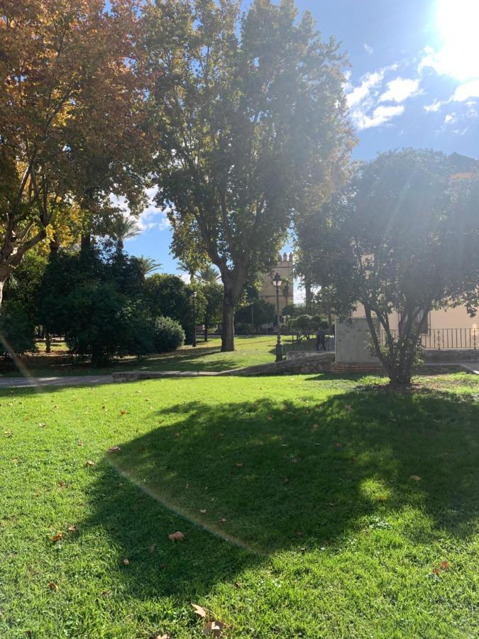 Apartmán Apartamento A Estrenar A Un Minuto Del Alcazar Córdoba Exteriér fotografie